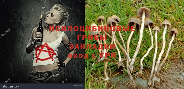 бутират Бородино